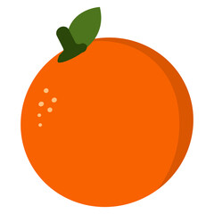 orange fruit illustration