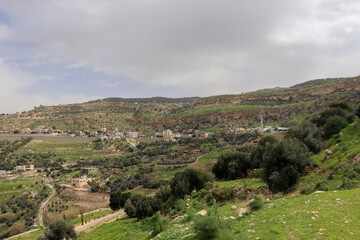 Fototapeta na wymiar Amman, Jordan : spring in Adsiya Village (Dead Sea road)