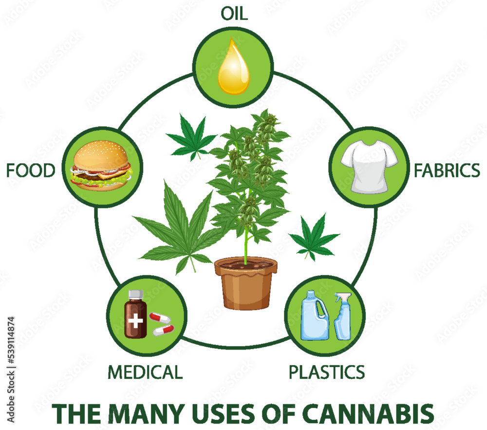 Canvas Prints the many uses of cannabis diagram