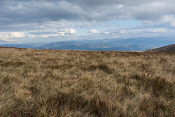 Fototapeta premium Beautiful view of the carpathian moun landscape with green meadows, trees, dark low clouds on the mountains in the background. travel destinations.