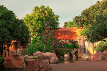 Wildlife area nature reserve . African savannah scenery 