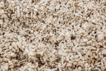 Raw cotton background. close up of organic cotton. Natural cotton for design banner and artwork
