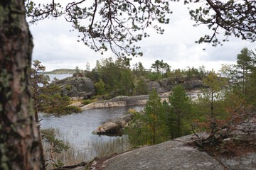 beautiful autumn landscape. lake view surrounded by forest