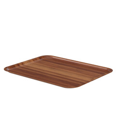 3d rendering illustration of an empty canteen tray