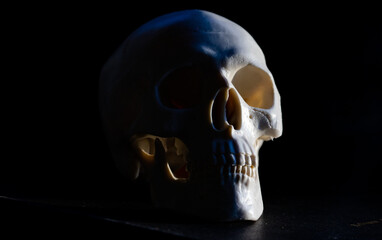 scary human skull horror Halloween
