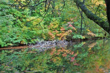 Couleurs d'automne.