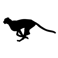 silhouette of a cheetah
