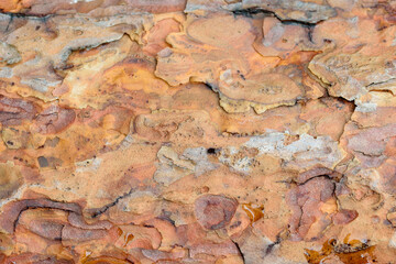Obraz premium Bardzo chropowaty kamień w brązowych kolorach