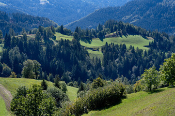 Fototapeta premium Paysage de montagne dans les Alpes slovènes autour du village de Spodnje Danje en été
