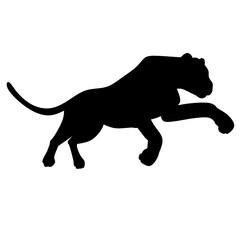 silhouette of a cheetah