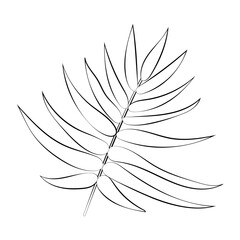 A twig of a plant and a flower with a thin line. Vector on a white background