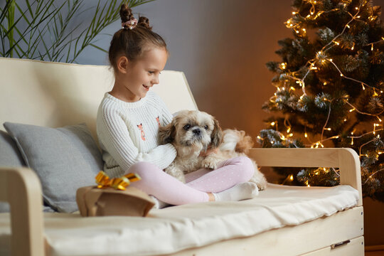 Image of smiling charming little girl with two hair buns wearing casual clothing sitting on sofa with dog, expressing positive emotions, Christmas celebrations.