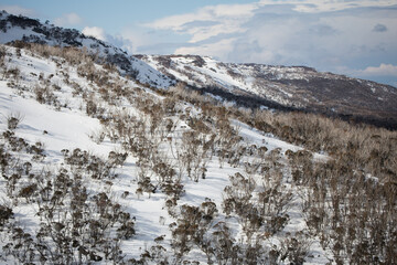 Fototapeta na wymiar Snow terrain