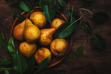Autumn harvest of yellow pears with leaves on clay plate on old rustic wood kitchen table background