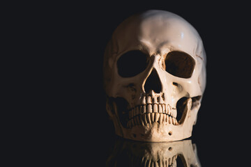 Human skull on a black background.