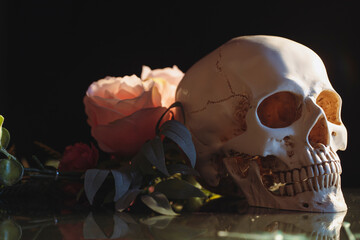 Human skull and flowers. Day of the dead, Dia de los muertos character.