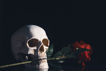 Human skull and flowers. Day of the dead, Dia de los muertos character.