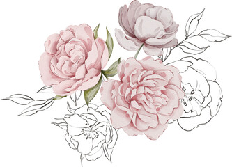 Watercolor peony composition. Floral arrangements. Hand painted clipart. Peony composition.