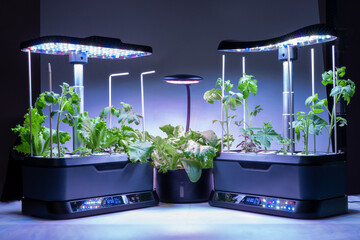 Smart indoor garden with uv lamp