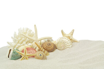Fototapeta na wymiar Starfishes with sea shells and coral on white sand isolated on white with space for text.