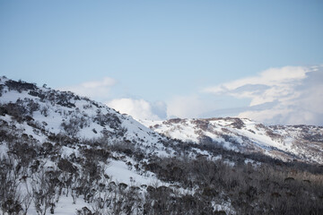 Fototapeta premium Snowy terrain