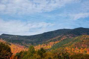 Fall Scene in the Adirondacks Mountains 