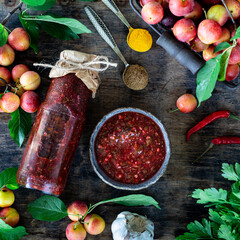 Tkemali is a traditional Georgian sauce with cherry plum. Spices, herbs, garlic, chili pepper.