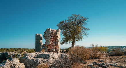 mezgit kale castle ruins with a lonely tree