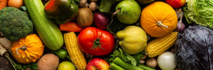 Ripe fresh vegetables, organic seasonal vegetables banner, autumn farm harvest, top view