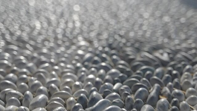 Close up details of the traditional greek pebbles stones as tourists walking by in the city center of spetses greek island