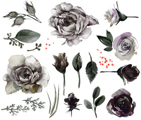 Black Roses watercolor set. Gotic flowers isolated on white