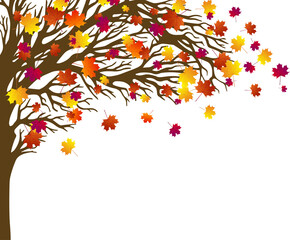 Autumn illustration with maple tree and falling leaves isolated on a transparent background. Good for greeting cards, posters, flyers.