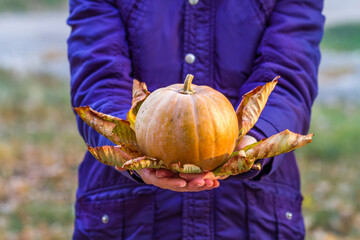 Orange pumpkin with yellow leaves in female hands
