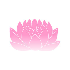Vector pink lotus icon on white background