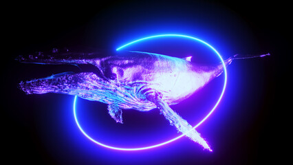 3d rendered illustration of a whale with a ring of neon light © Sebastian Kaulitzki
