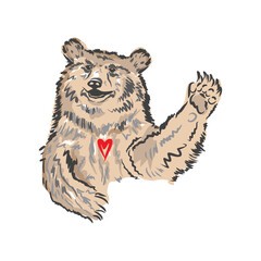 Vector illustration of a realistic bear. Smiling bear. Color sketch, sketch of a forest animal. Honey lover. From Siberia with love. Fluffy bear colored ink.