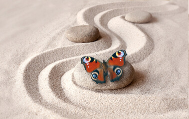 zen garden meditation stone background and butterfly with stones and lines in sand for relaxation balance and harmony spirituality or spa wellness