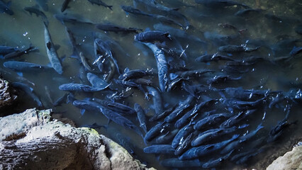 Inside the Nam Lod Cave, Thailand