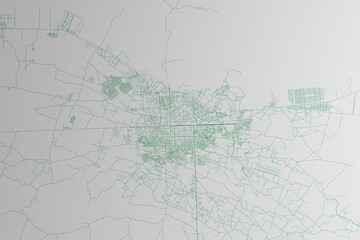 Map of the streets of Herat (Afghanistan) made with green lines on white paper. 3d render, illustration