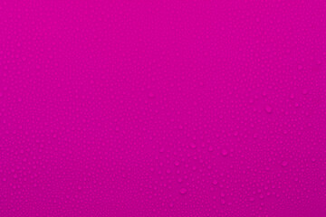 Water drops on saturated magenta background as soft light matte pattern with tiny droplets in...