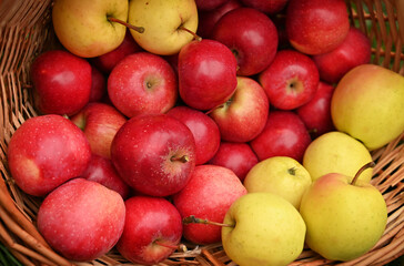 Naklejka na ściany i meble Fresh ripe red apples as background