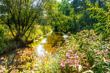 Ruhiges Wasser an der Este in Niedersachsen oberhalb von Buxtehude