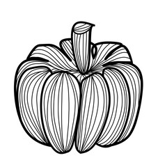 Pumpkin illustration line art