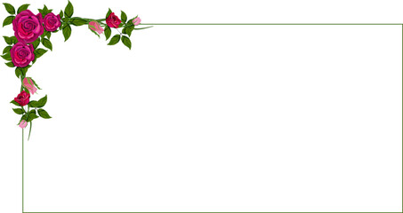 Red rose flower frame isolated. Vector illustration
