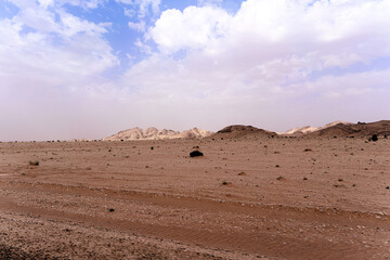 landscape in the desert