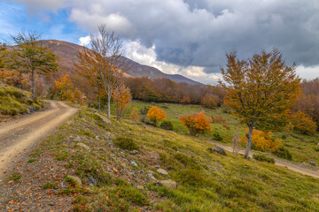 Dirt road in an autumn landscape, province of Genoa, Italy