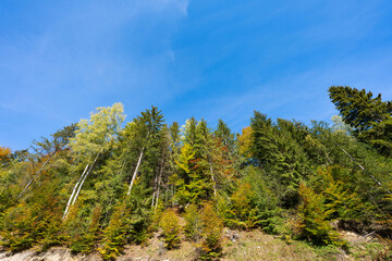 Autumn landscape of the Carpathians on a sunny day