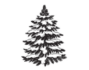 Christmas tree hand drawn illustration	
