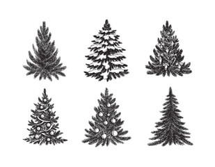 Christmas tree hand drawn illustration	
