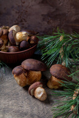 Imleria Badia or Boletus badius mushrooms commonly known as the bay bolete and clay bowl with mushrooms on vintage wooden background..